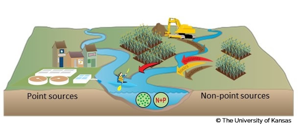 Example of a graphic illustrating point and non-point sources of water pollution